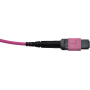 SYNOXX 16F MPO-MPO TYPE B OM4 5M