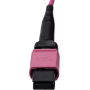 SYNOXX 16F OM4 Type B MPO Trunk Cable MPO Female 5m | 16FMTPOM4-5M