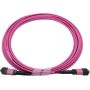 SYNOXX 16F OM4 Type B MPO Trunk Cable MPO Female 10m | 16FMTPOM4-10M